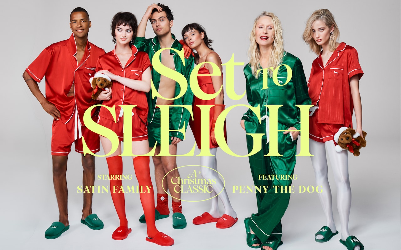 Set to Sleigh - A Christmas Classic Starring Satin Family & Featuring Penny the Dog