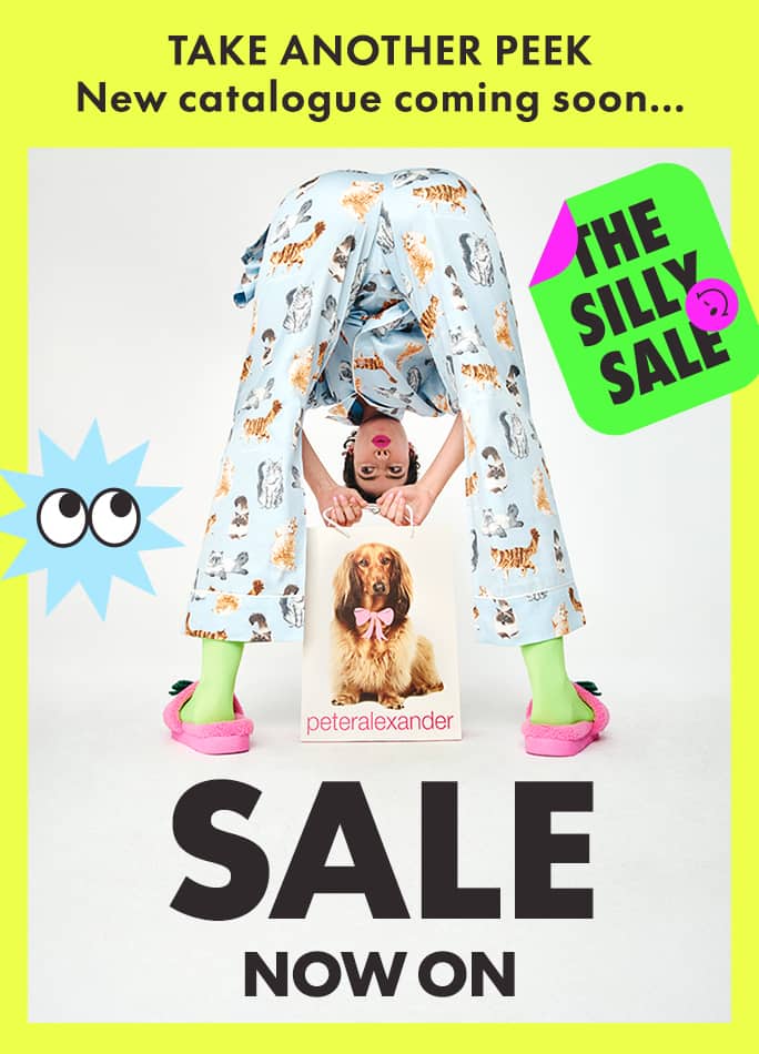 The Silly Sale