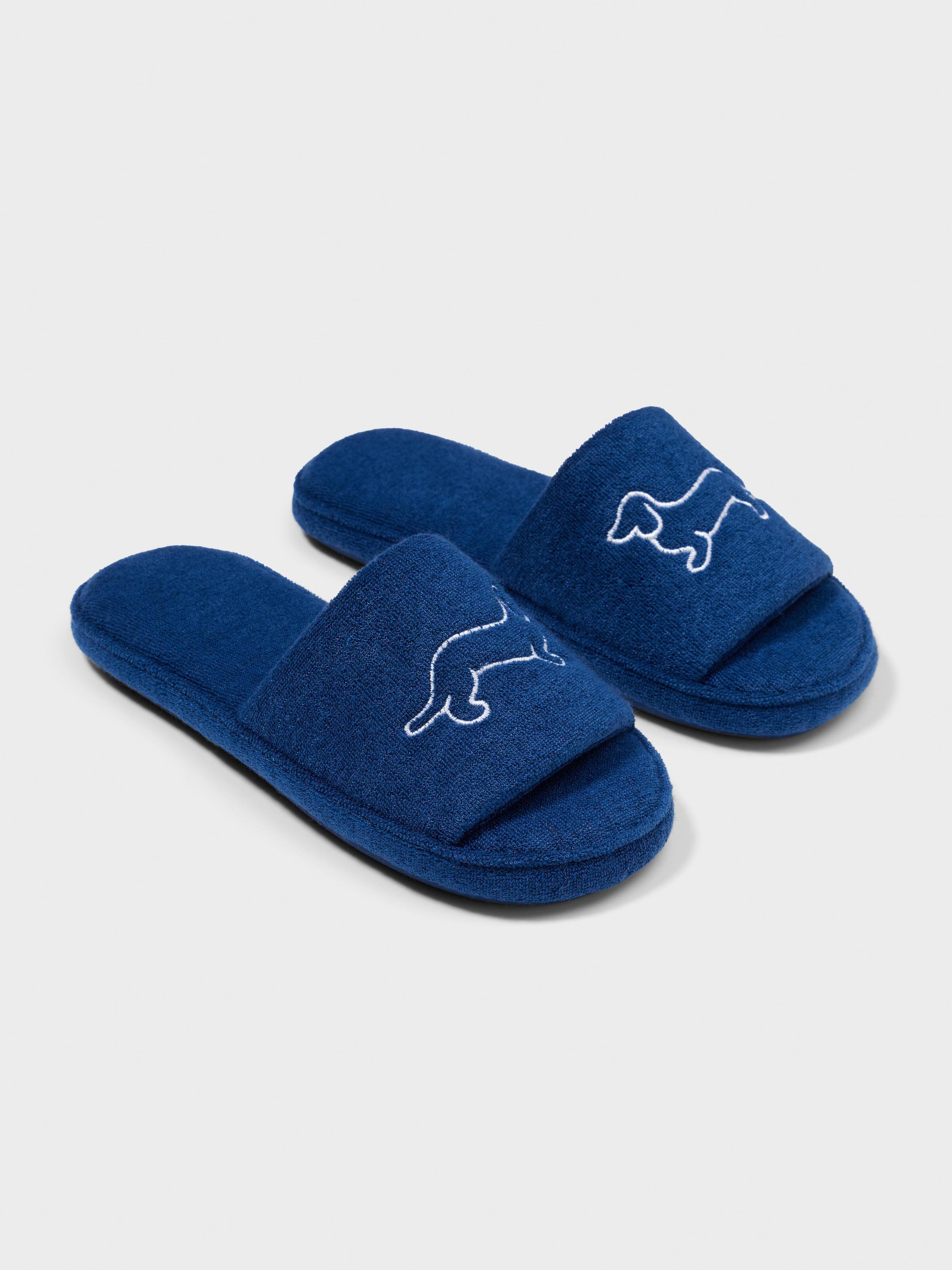 Kids Navy Slide