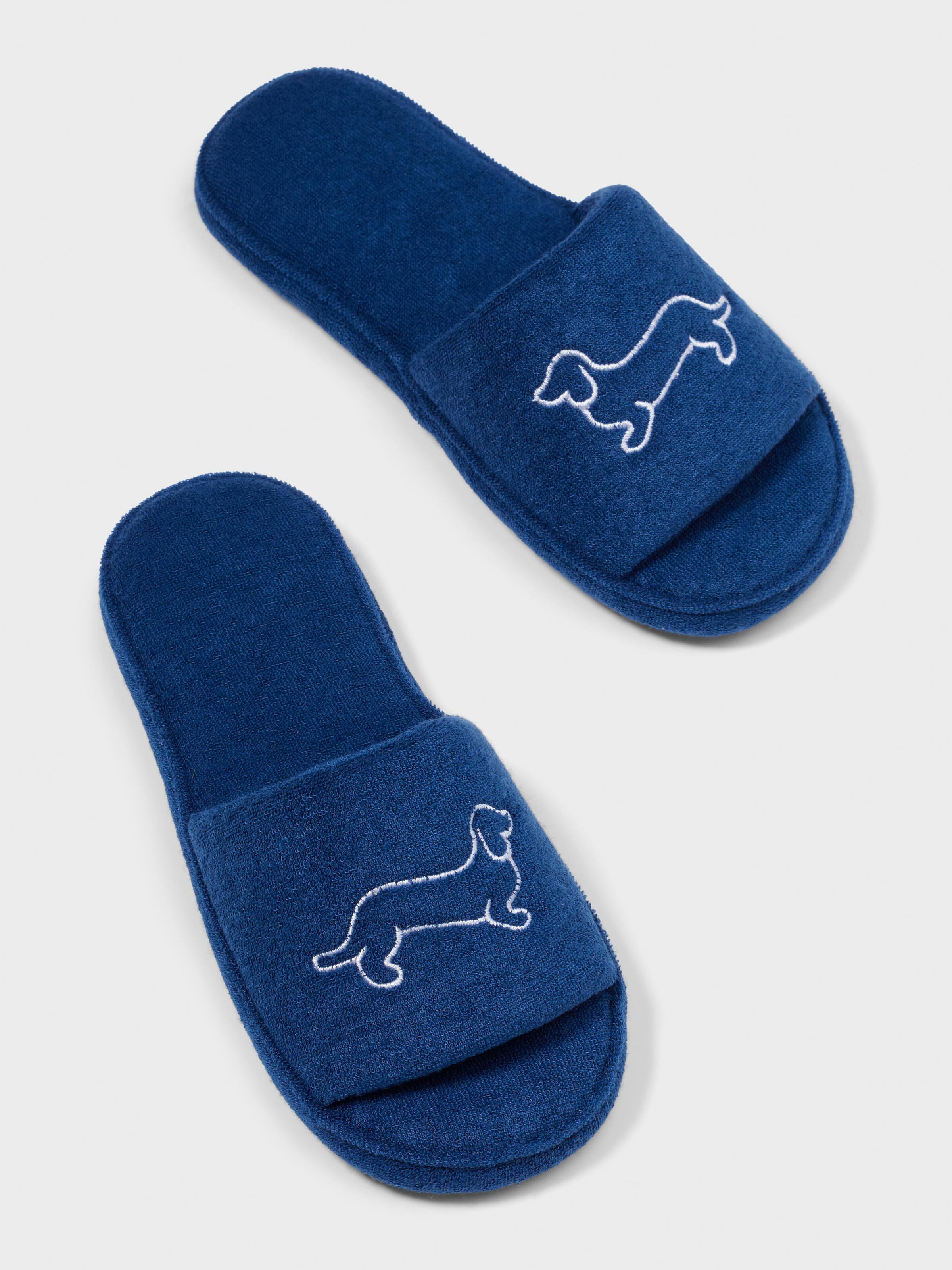 Kids Navy Slide