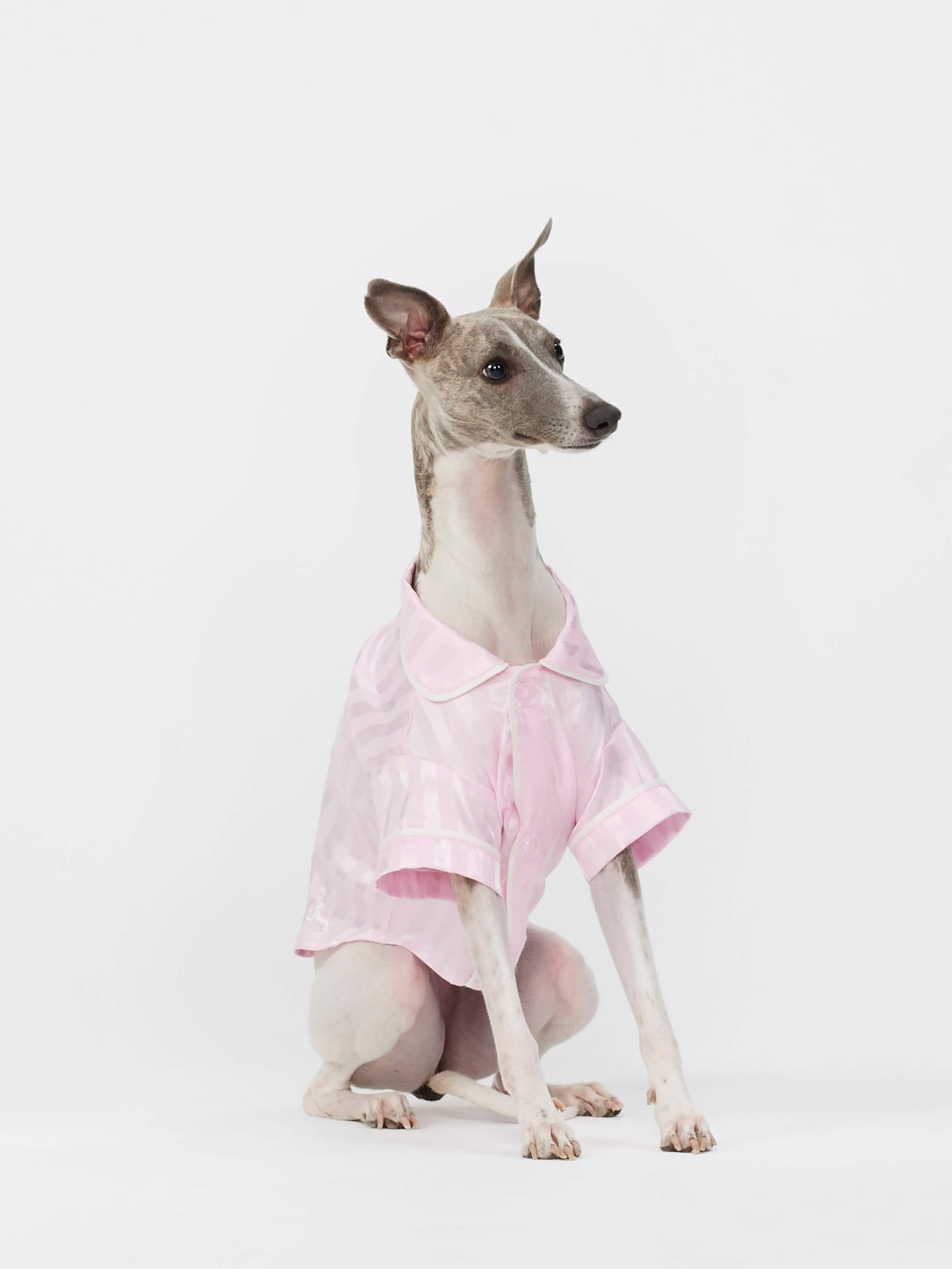Image for Pink Stripe Satin Doggy Shirt from Peter Alexander