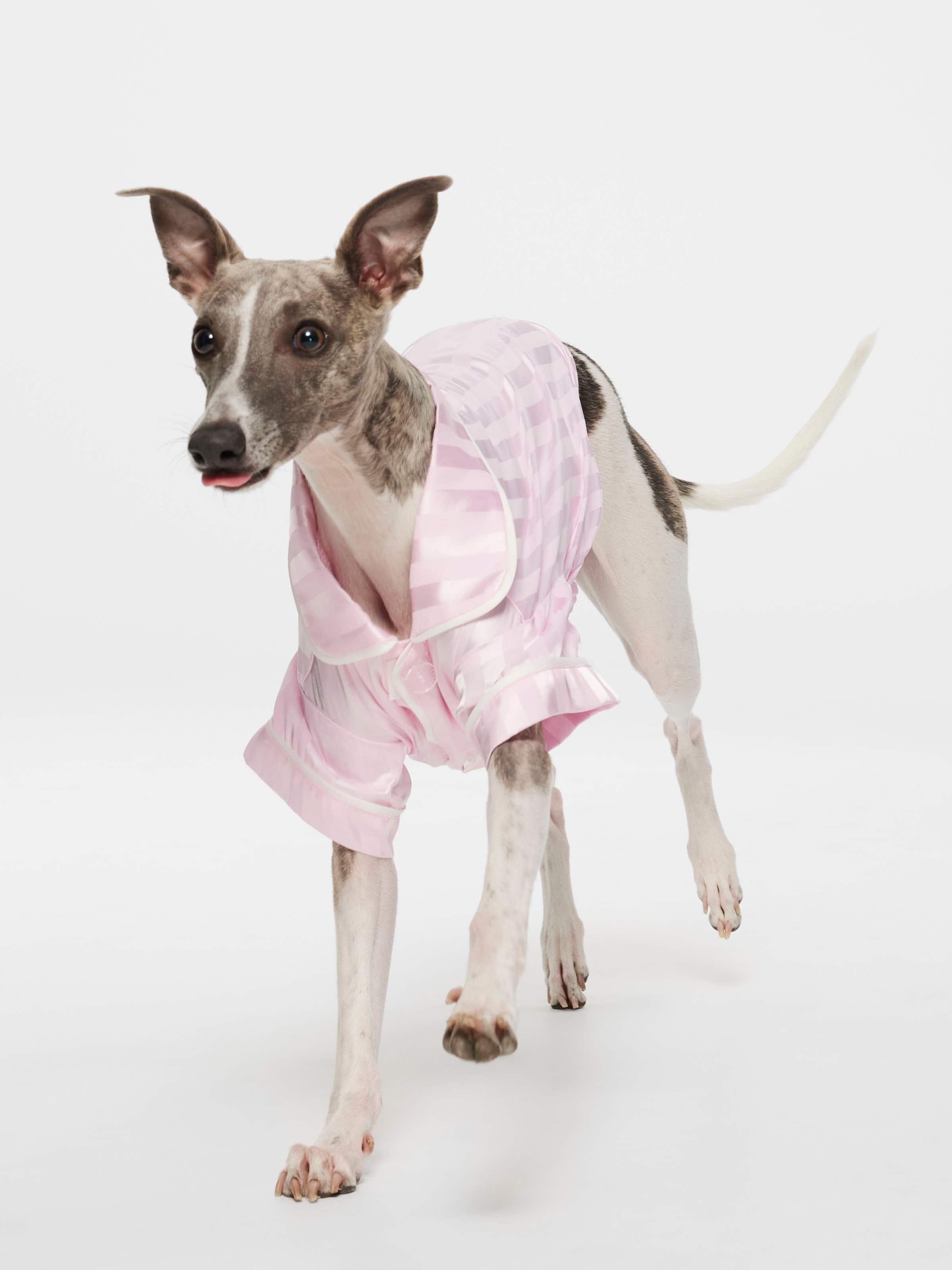 Image for Pink Stripe Satin Doggy Shirt from Peter Alexander