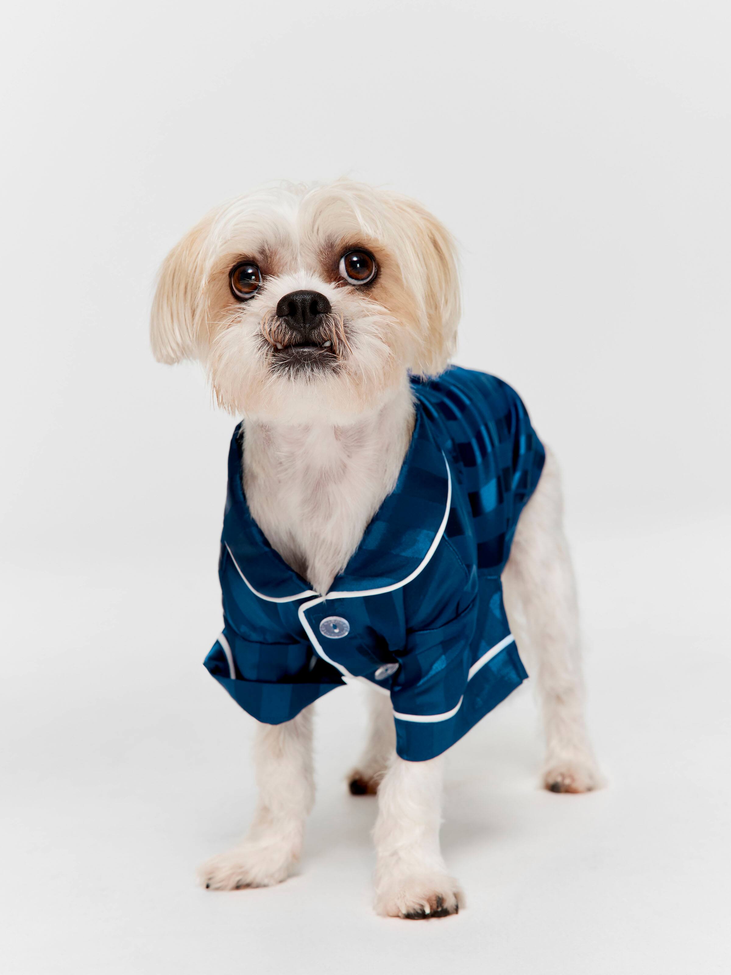 Navy Stripe Satin Doggy Shirt