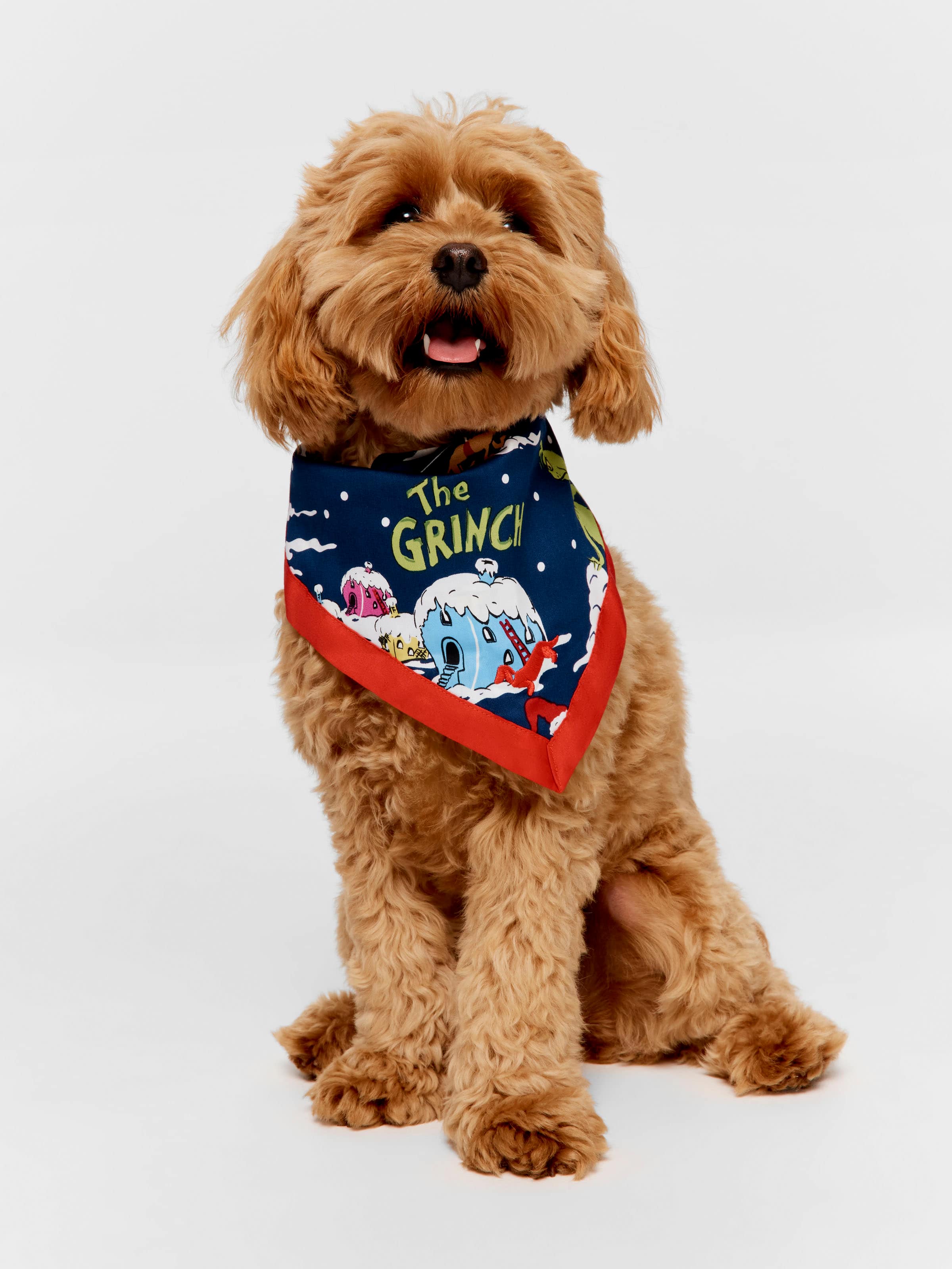 The Grinch Dog Bandana