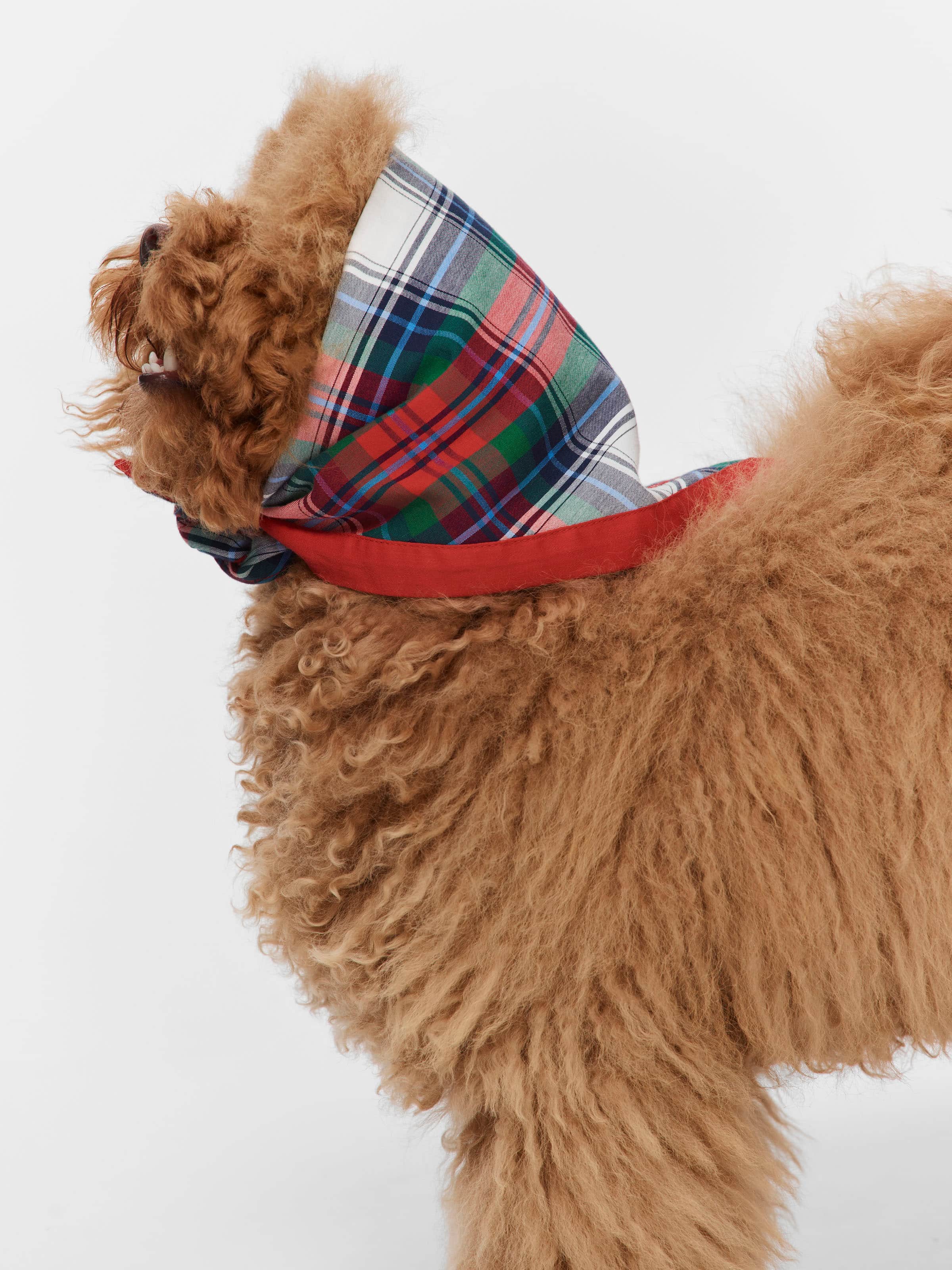 Tartan Dog Bandana