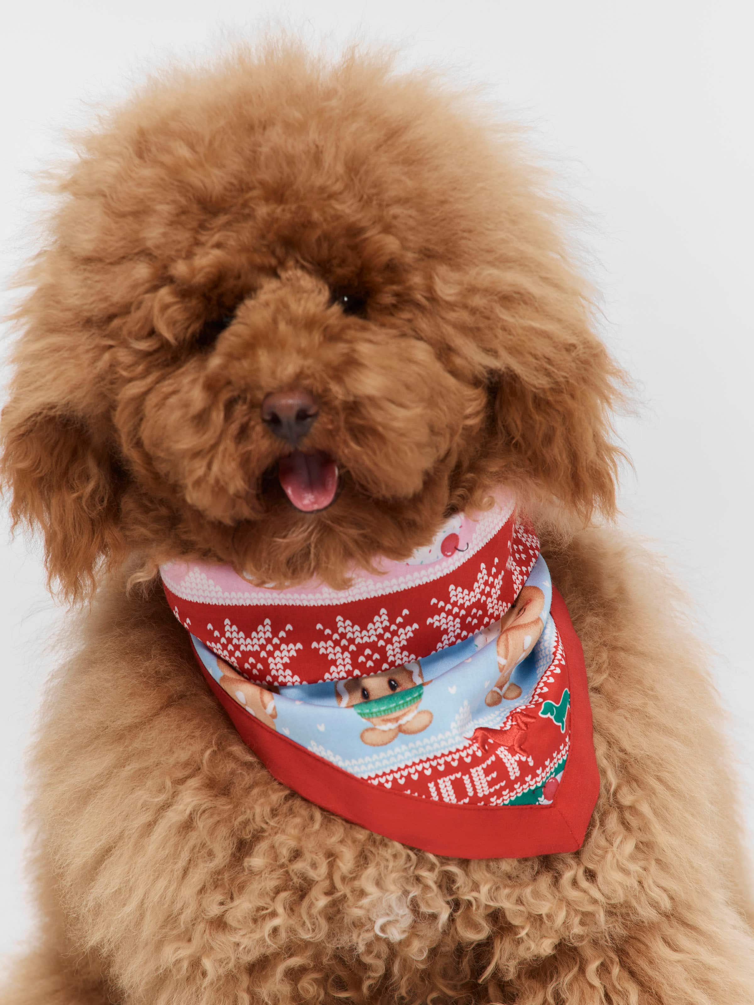 Gingerbread Dog Bandana