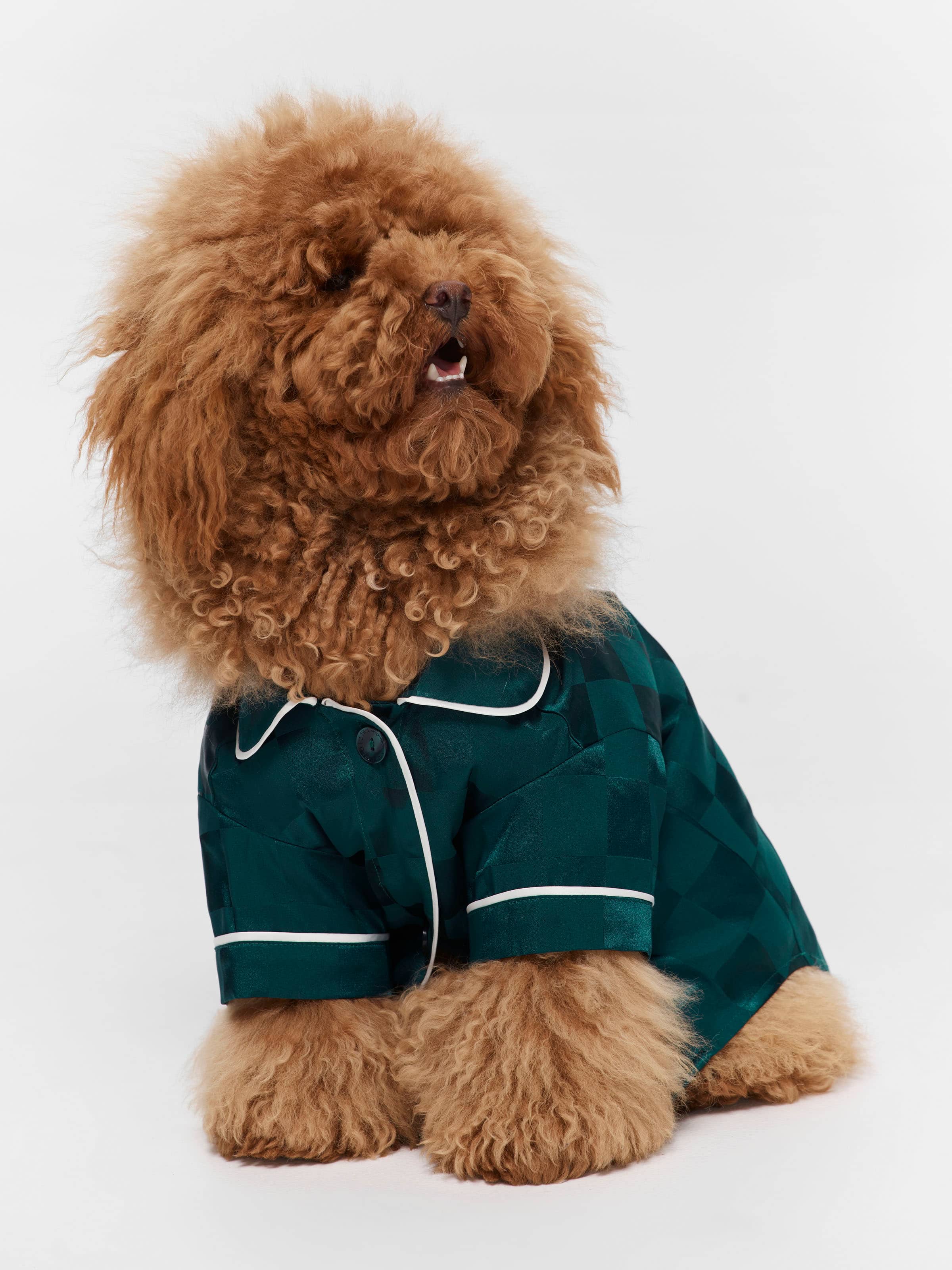 Jolly Green Satin Dog Shirt
