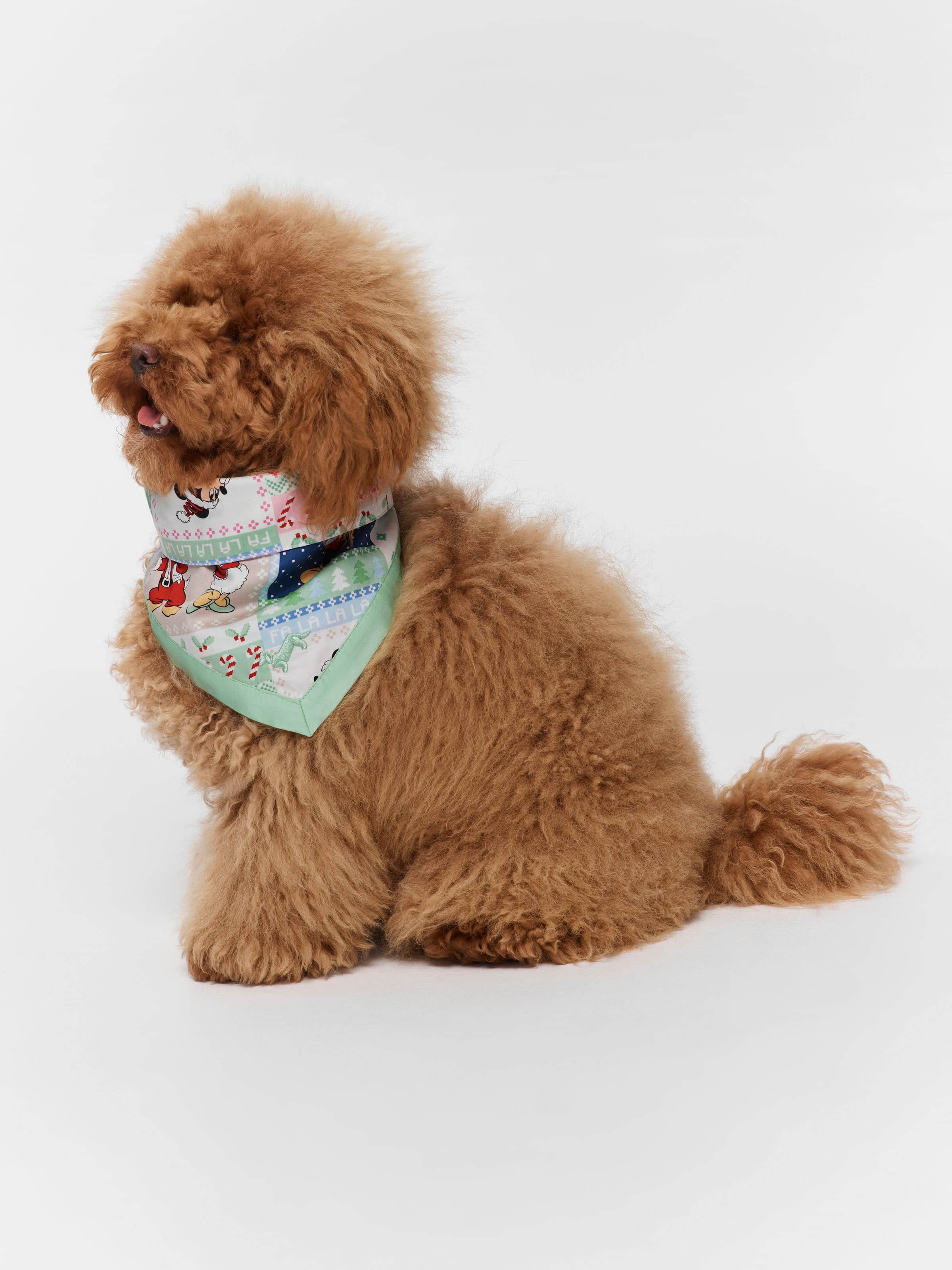 Mickey Dog Bandana