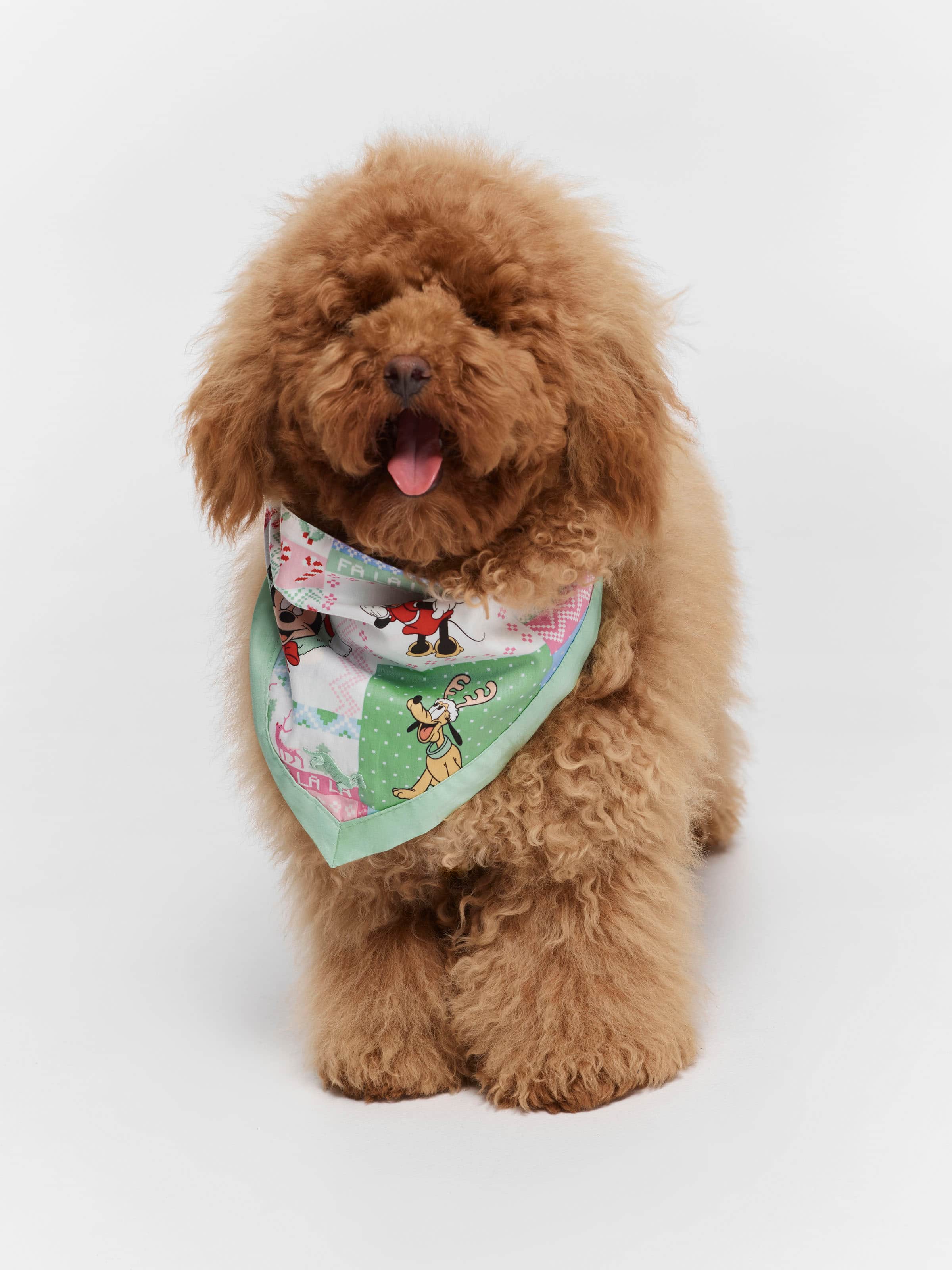 Mickey Dog Bandana