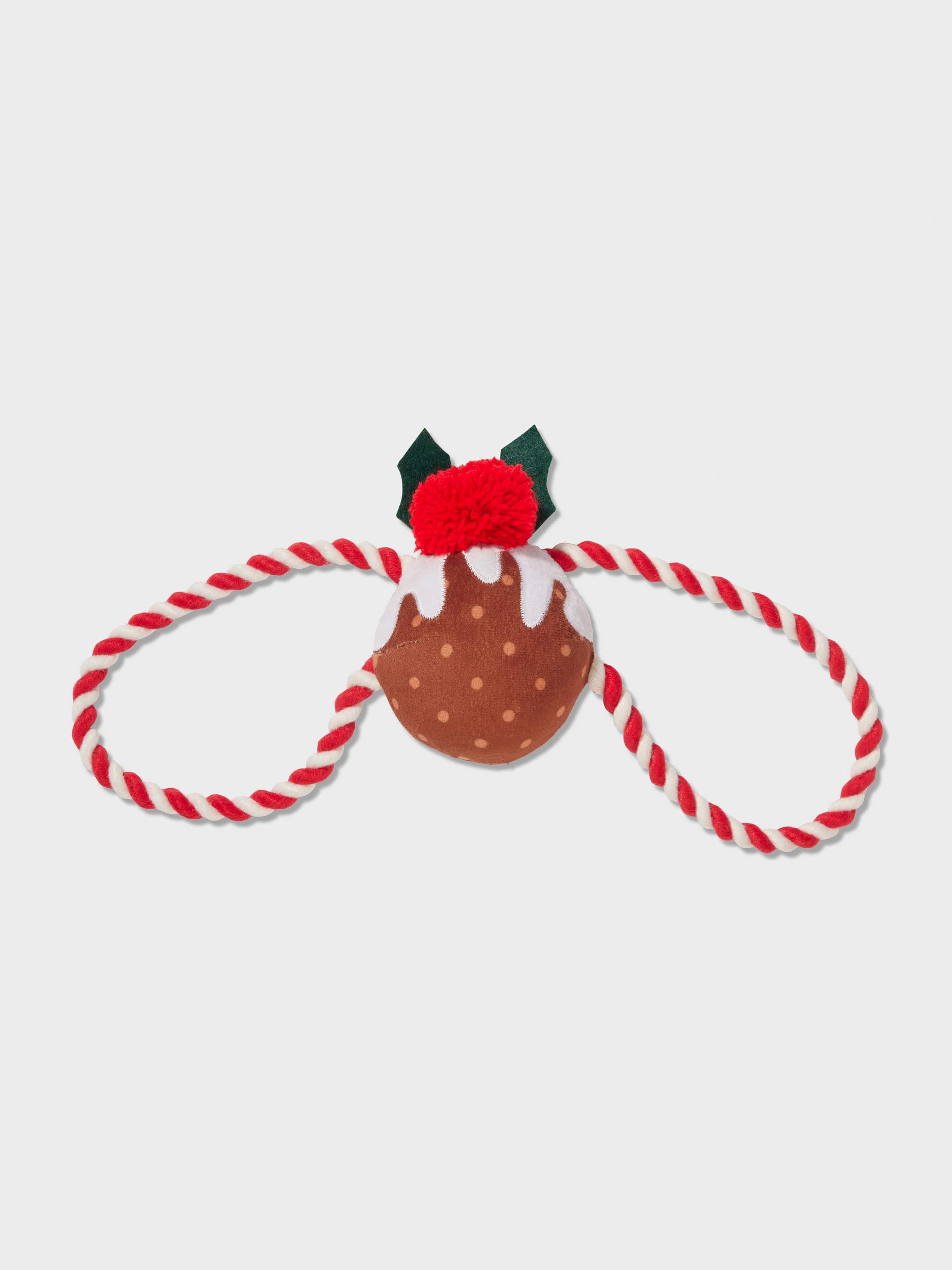 Rope Dog Toy