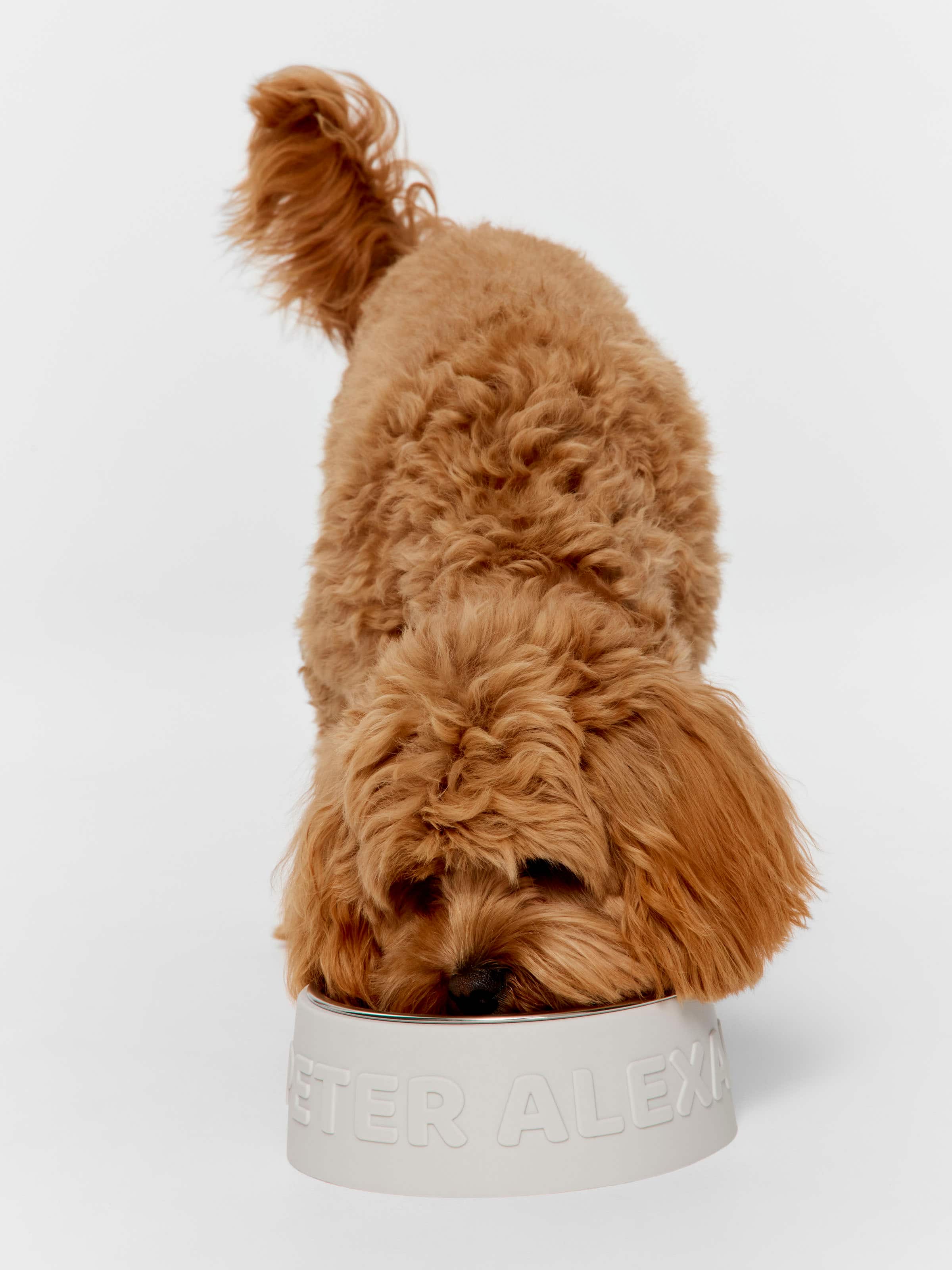 P.A Dog Bowl