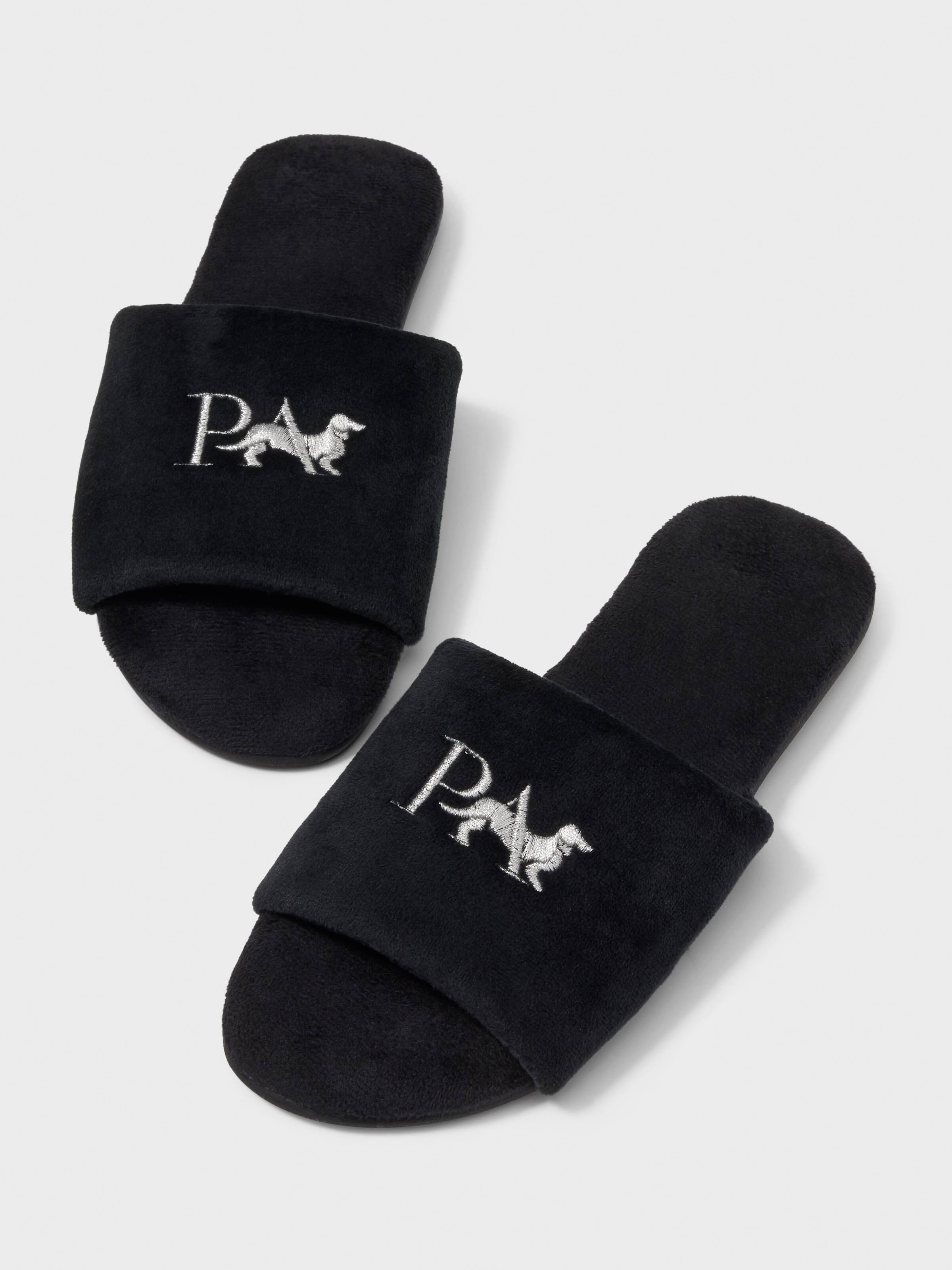 Penny Logo Slide