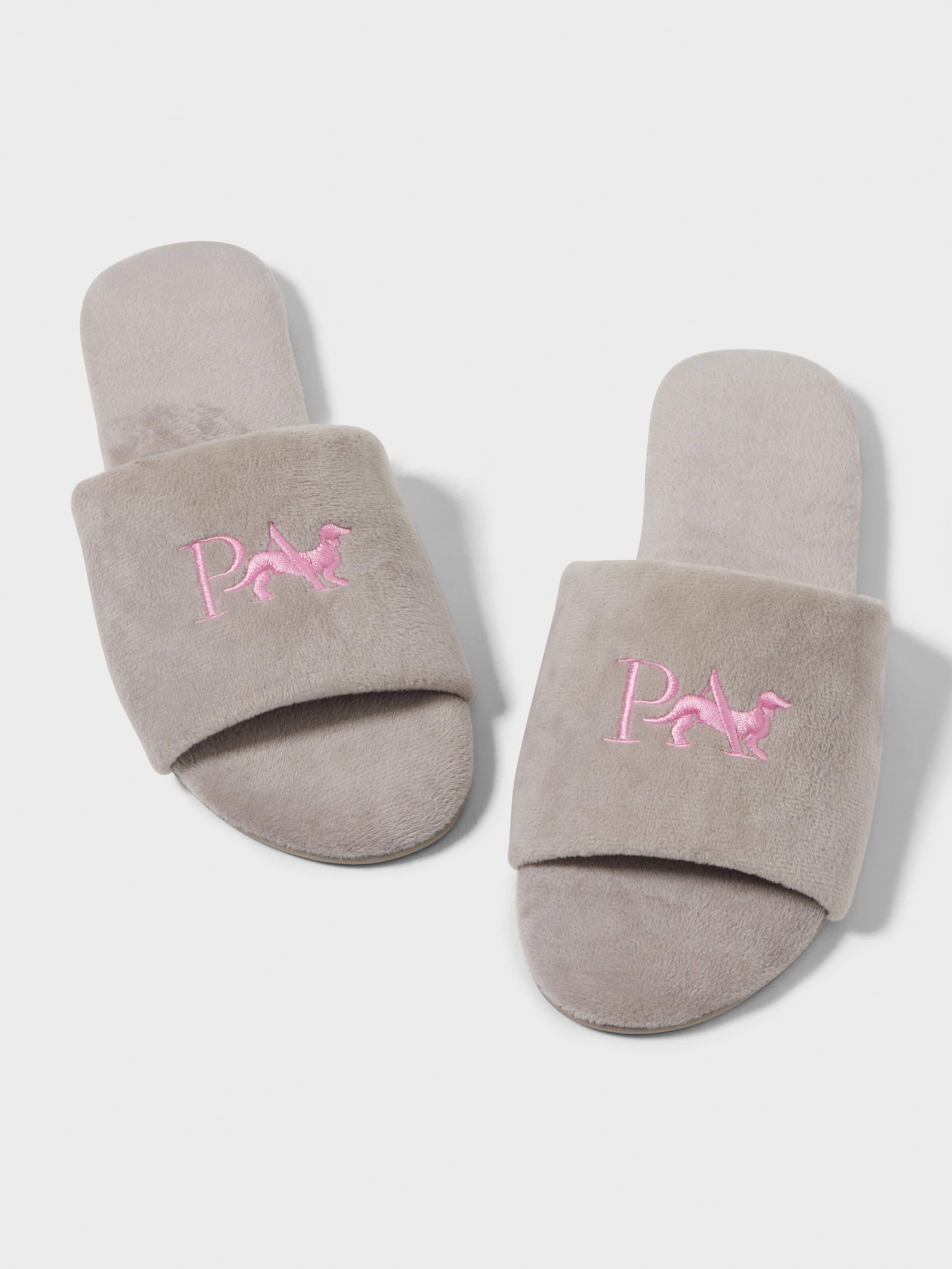 Penny Logo Slide