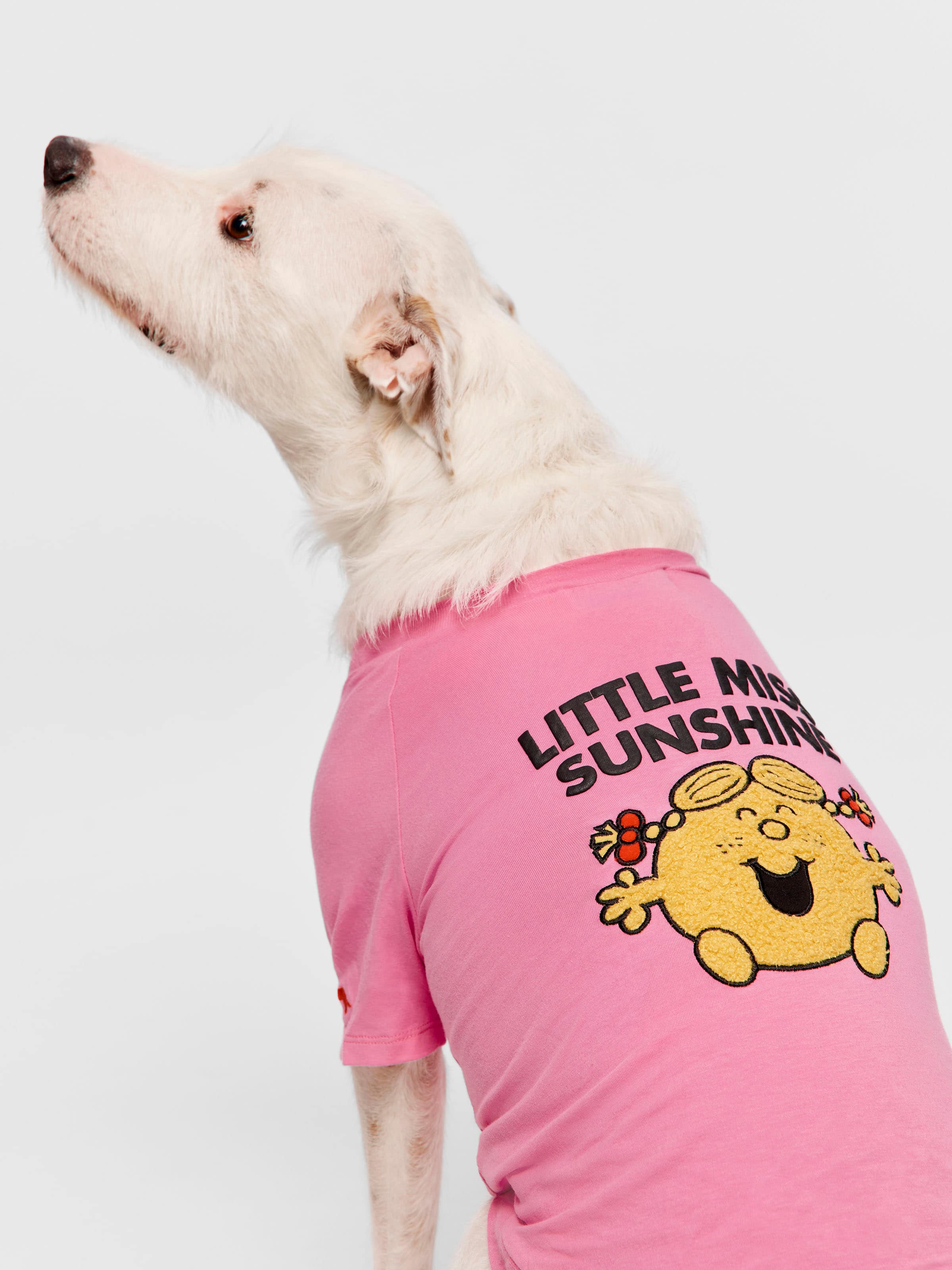 Little Miss Sunshine Dog Tee