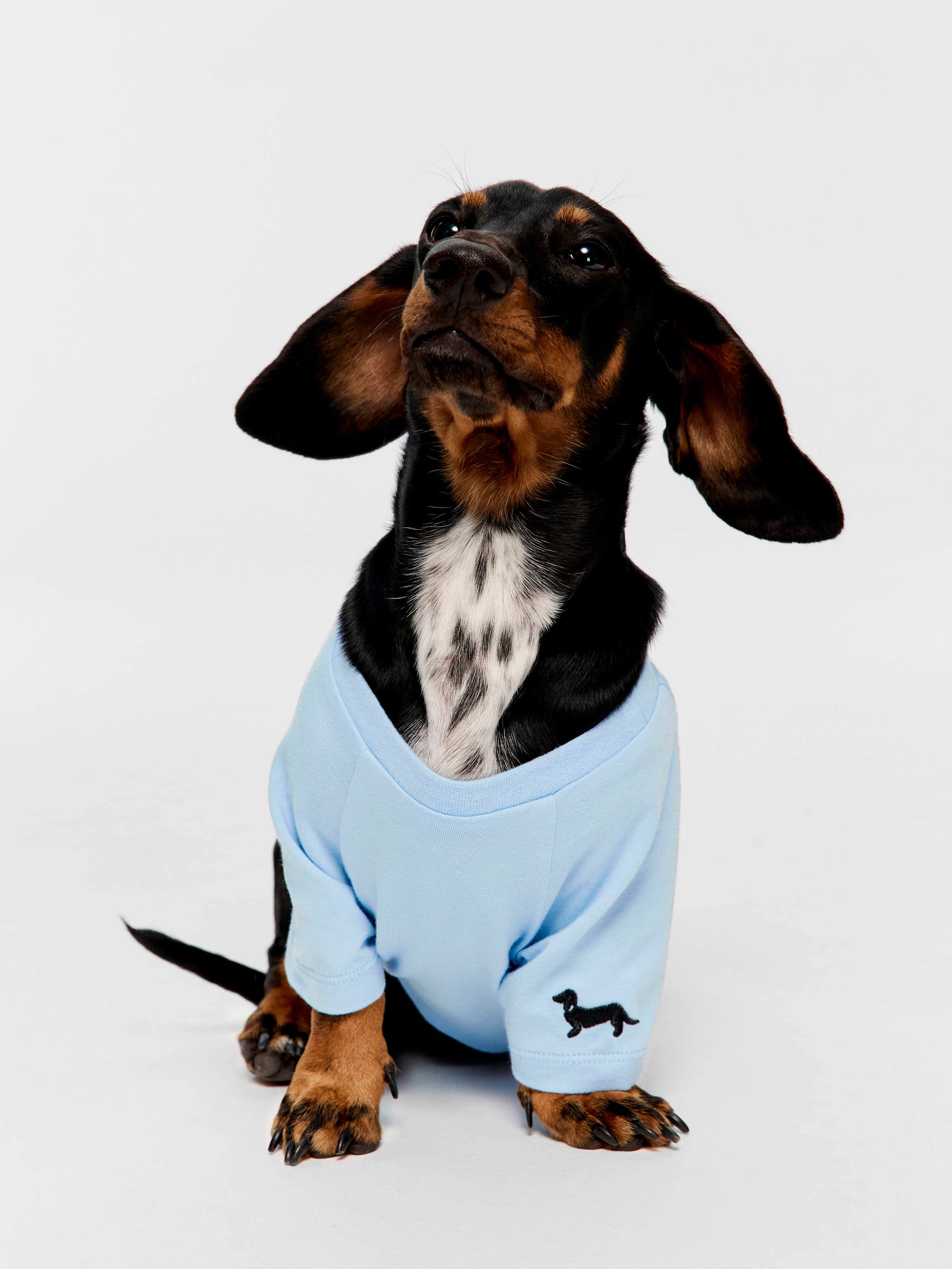 Mr Men Dog Tee