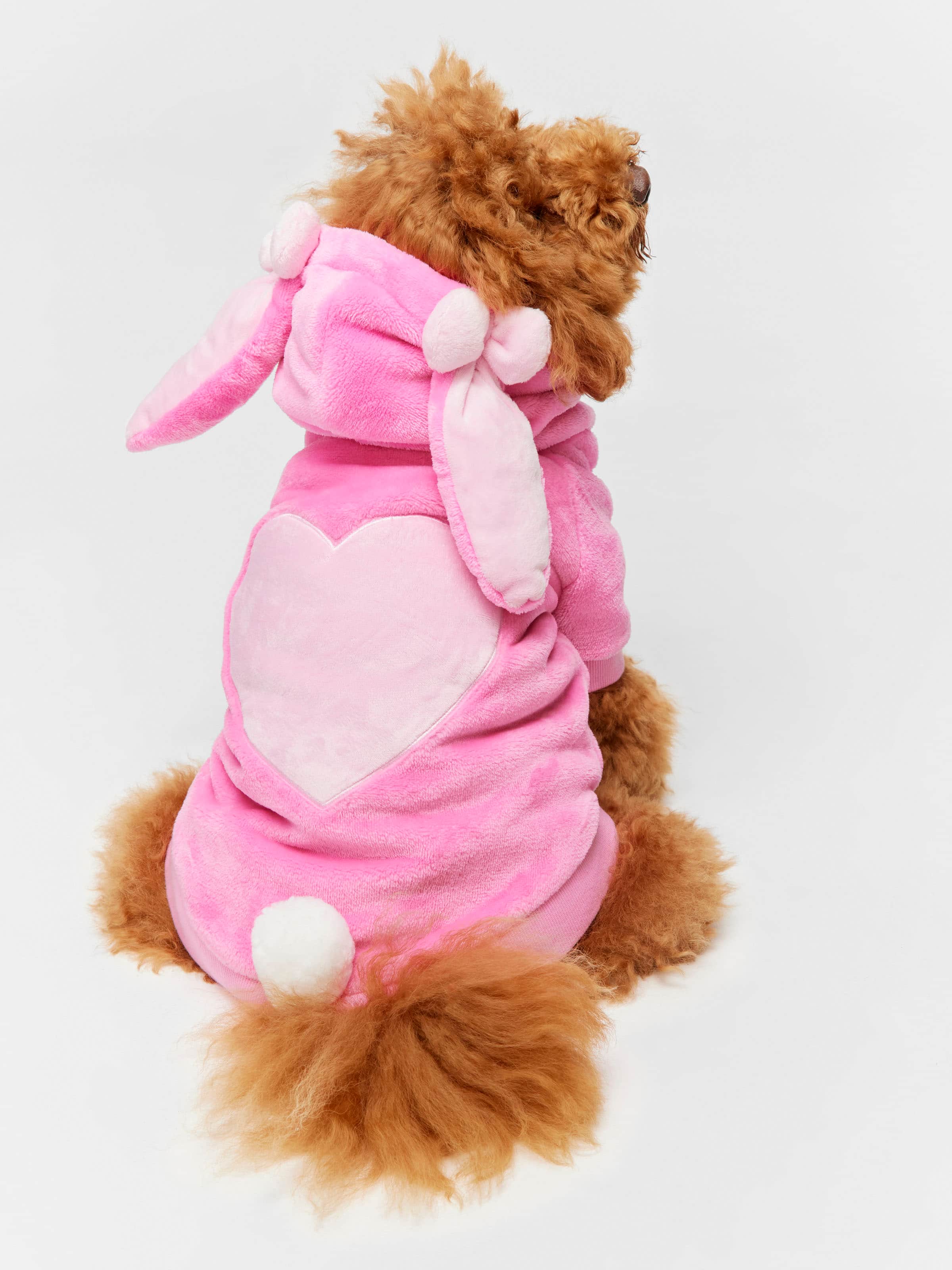 Bunny Dog Hoody