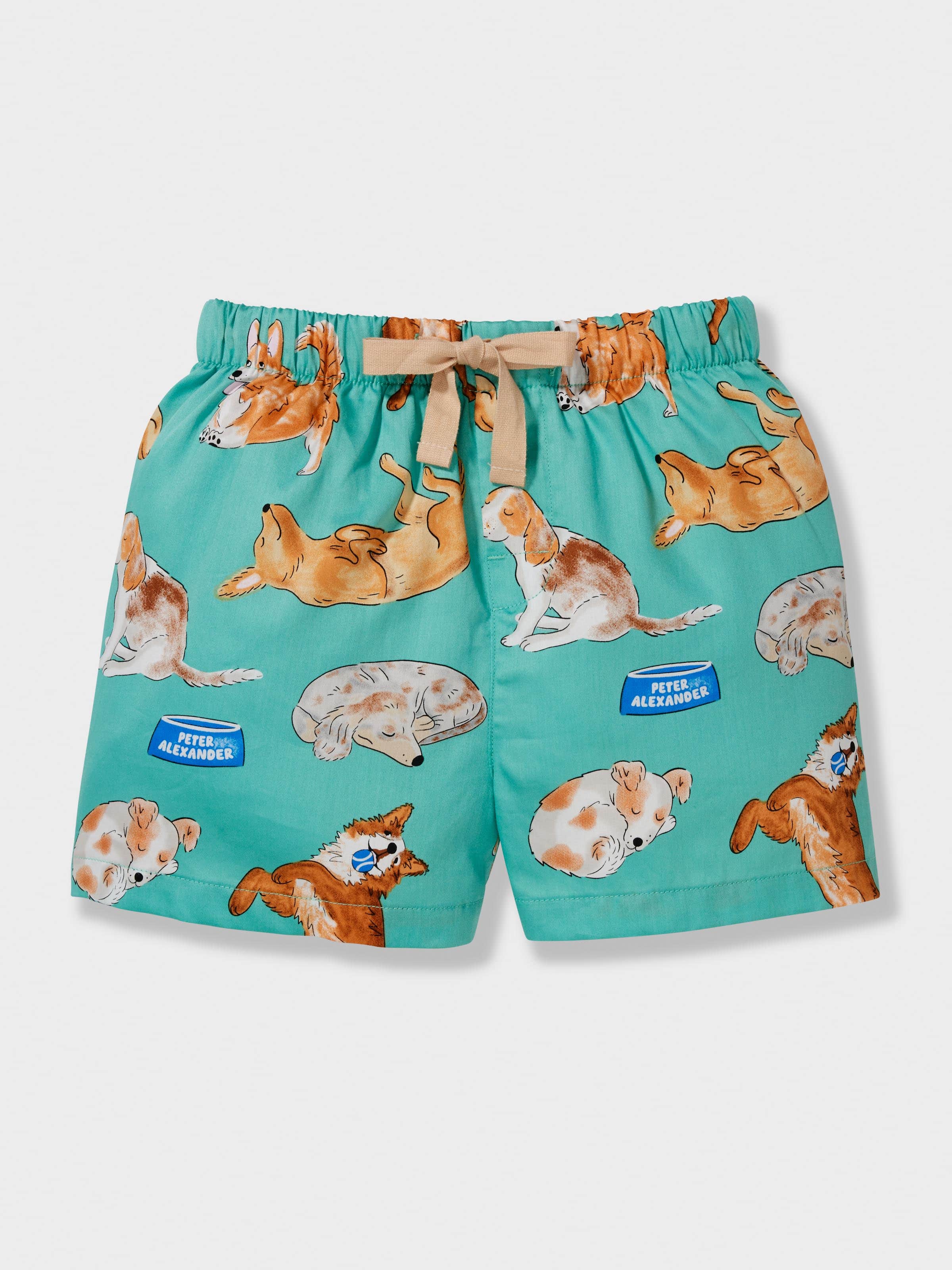 Boys Sleepy Pup Short Pj Set