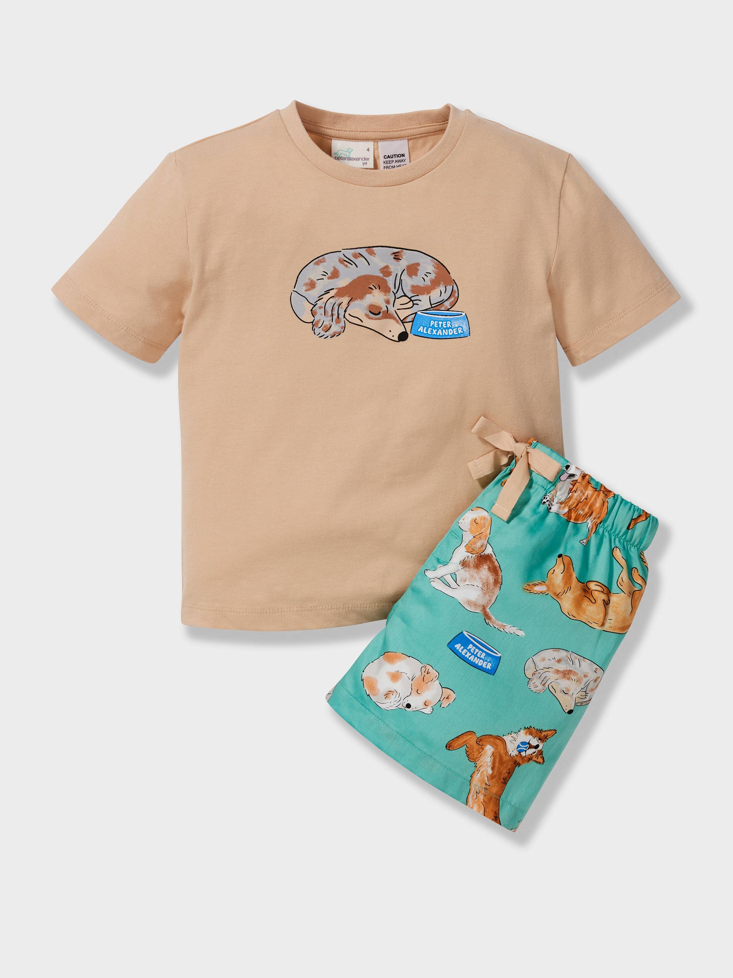 Boys Sleepy Pup Short Pj Set