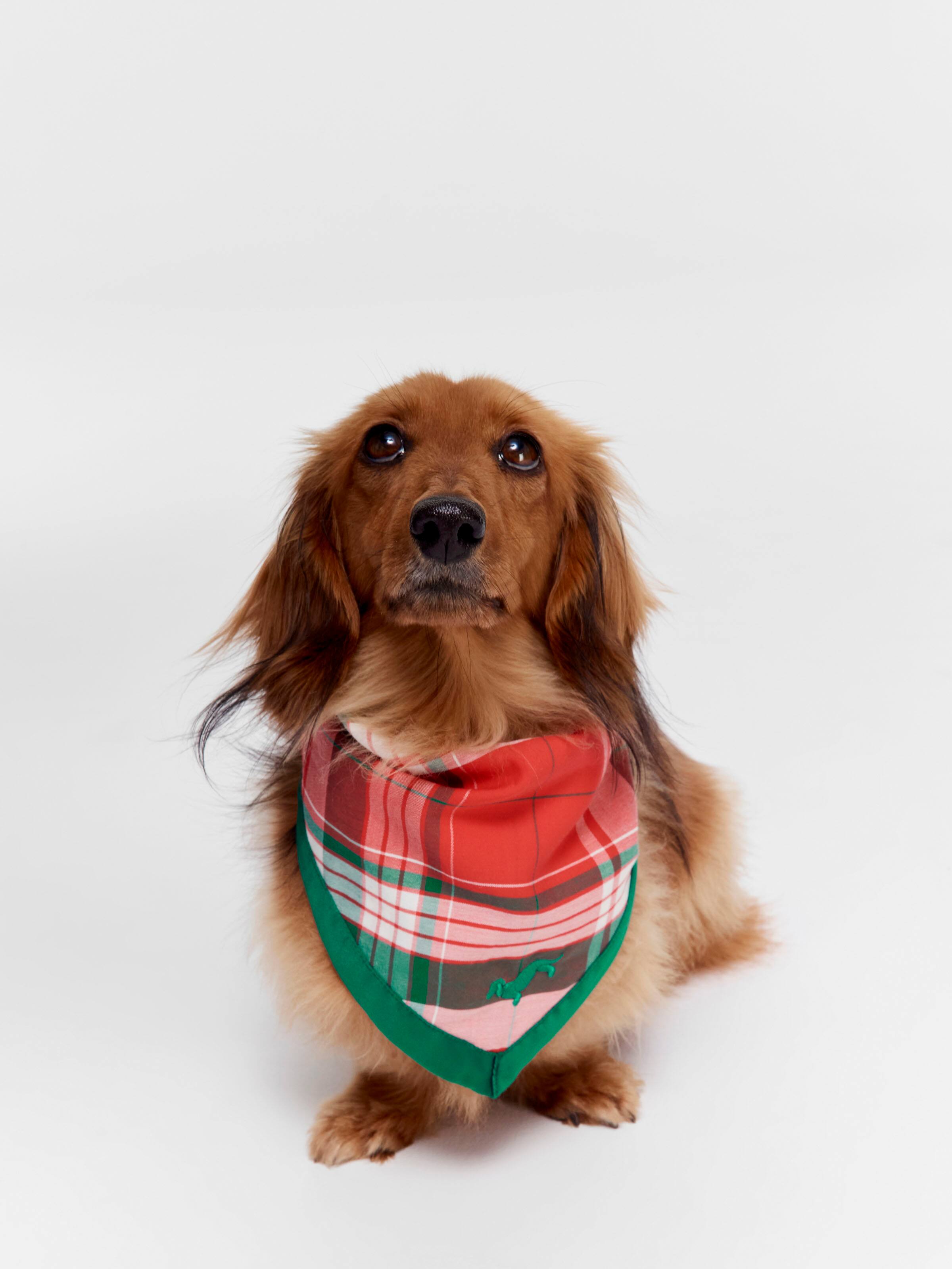 Tartan Dog Bandana