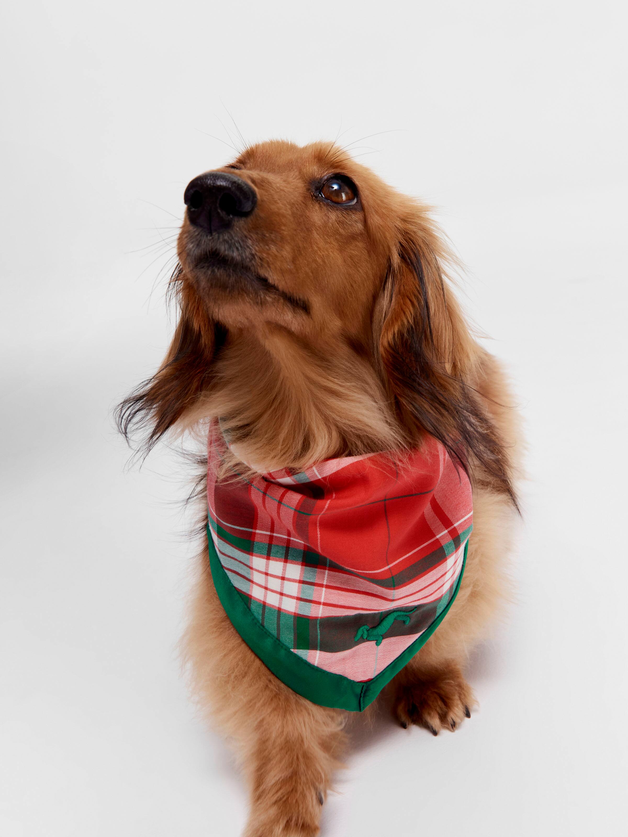Tartan Dog Bandana