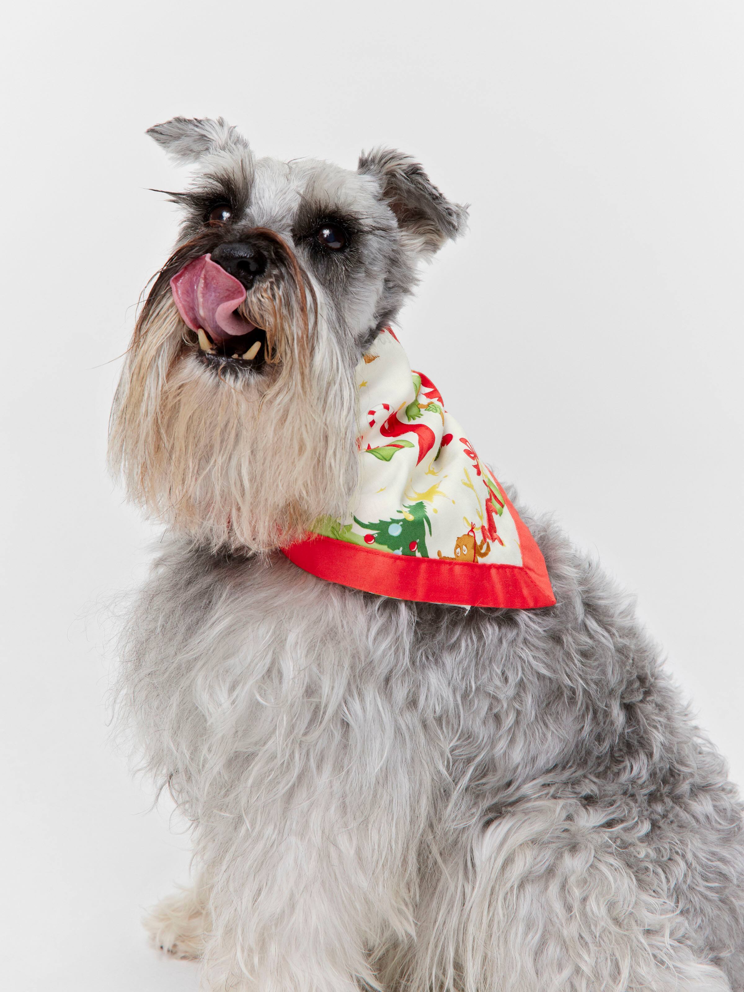 The Grinch Dog Bandana