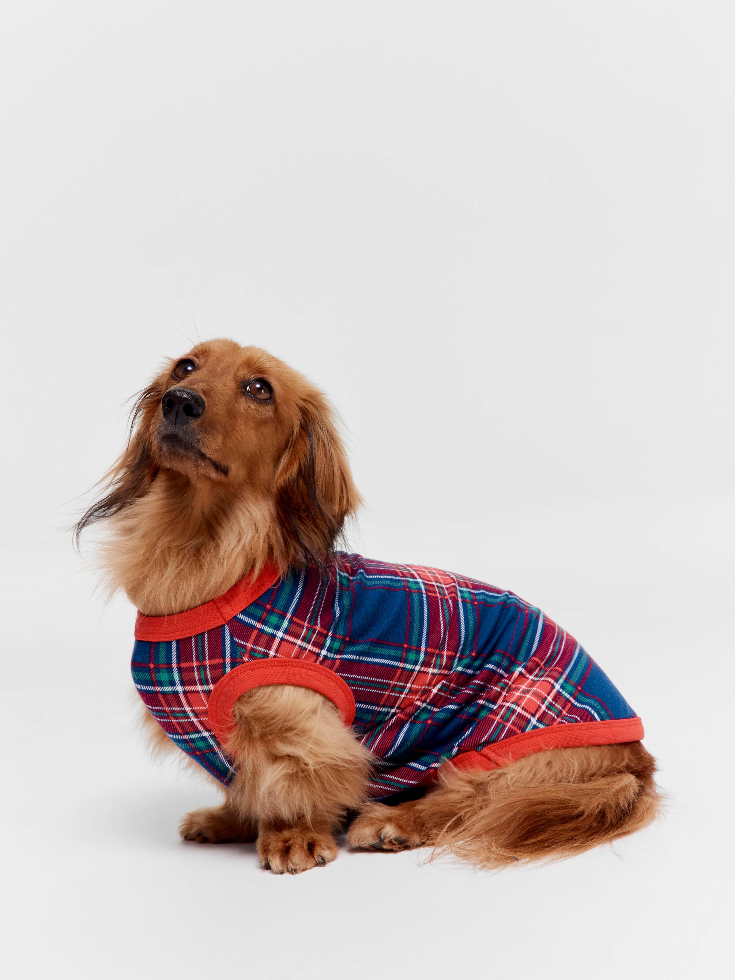 Navy Tartan Dog Tee
