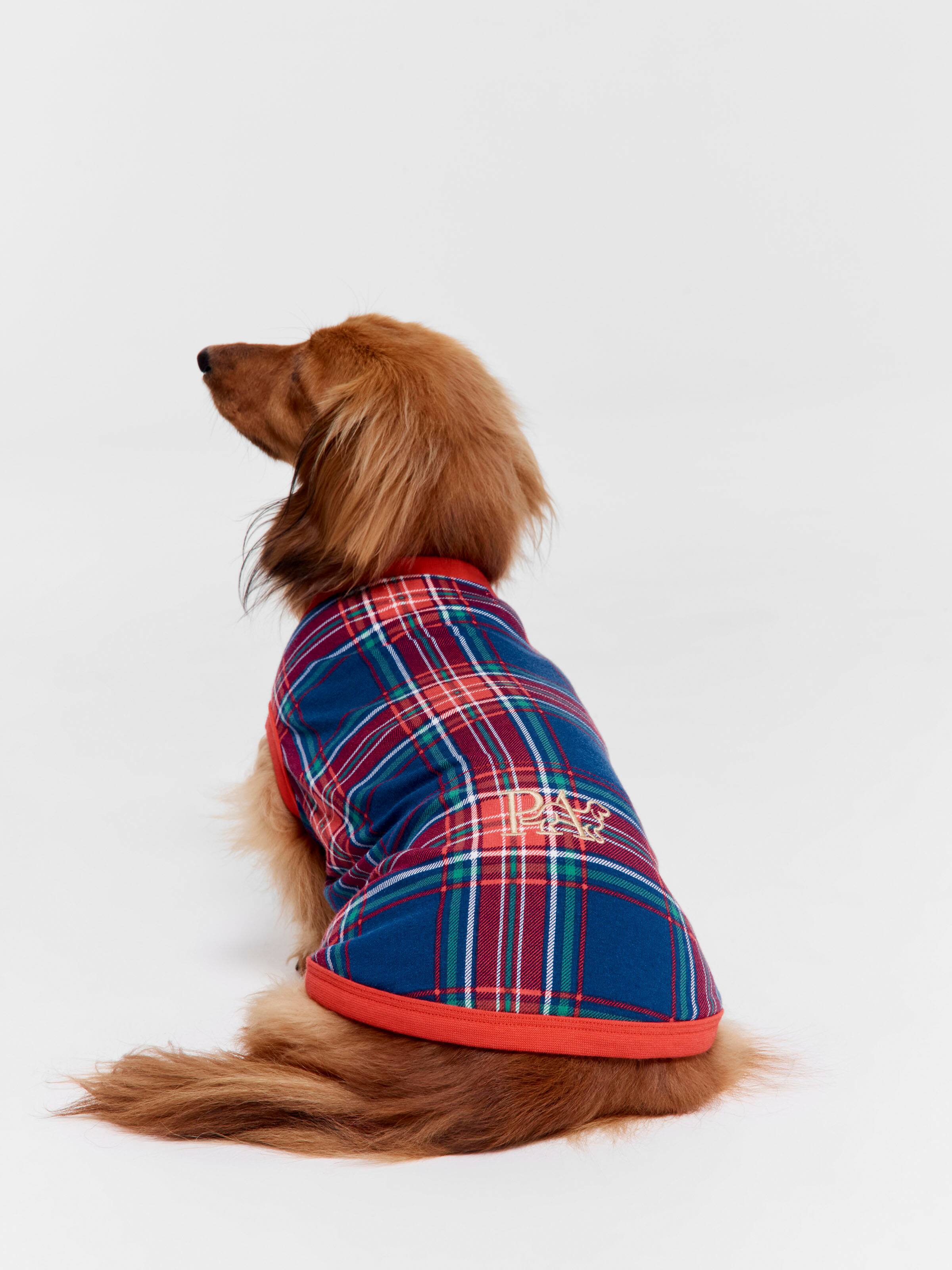 Navy Tartan Dog Tee