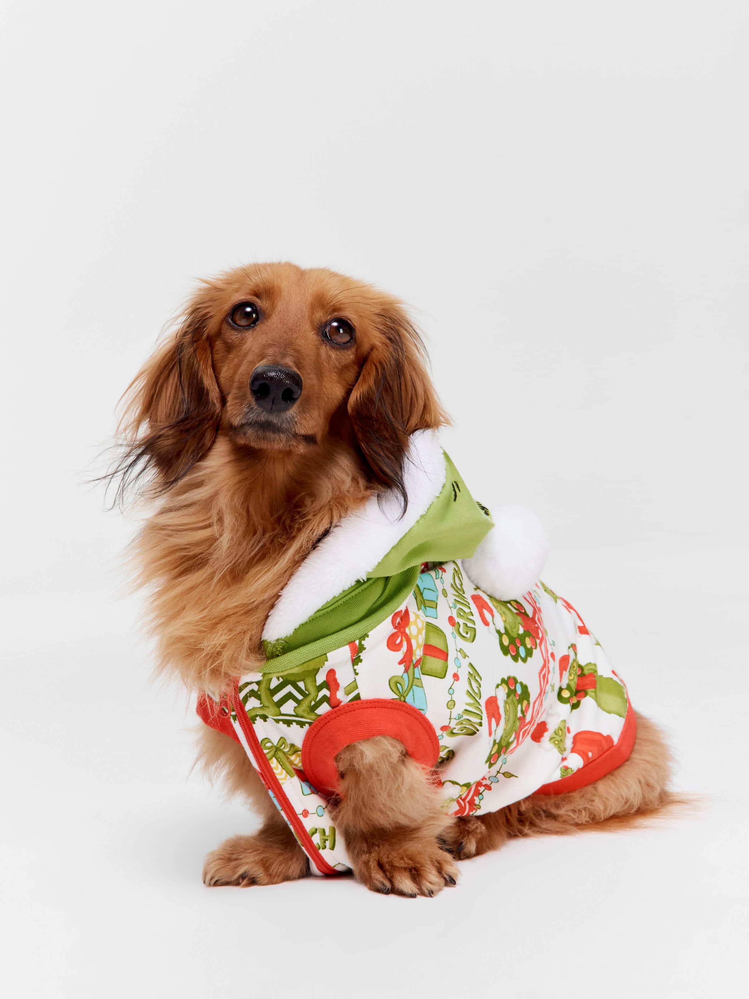 Grinch Doggy Hoodie