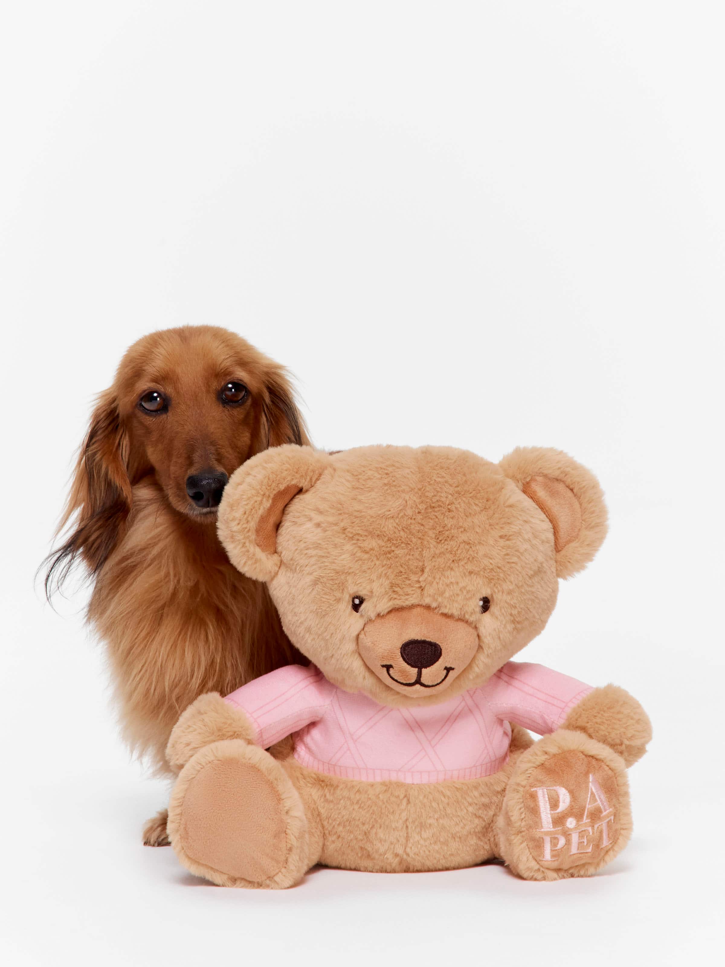 Dog Teddy Toy