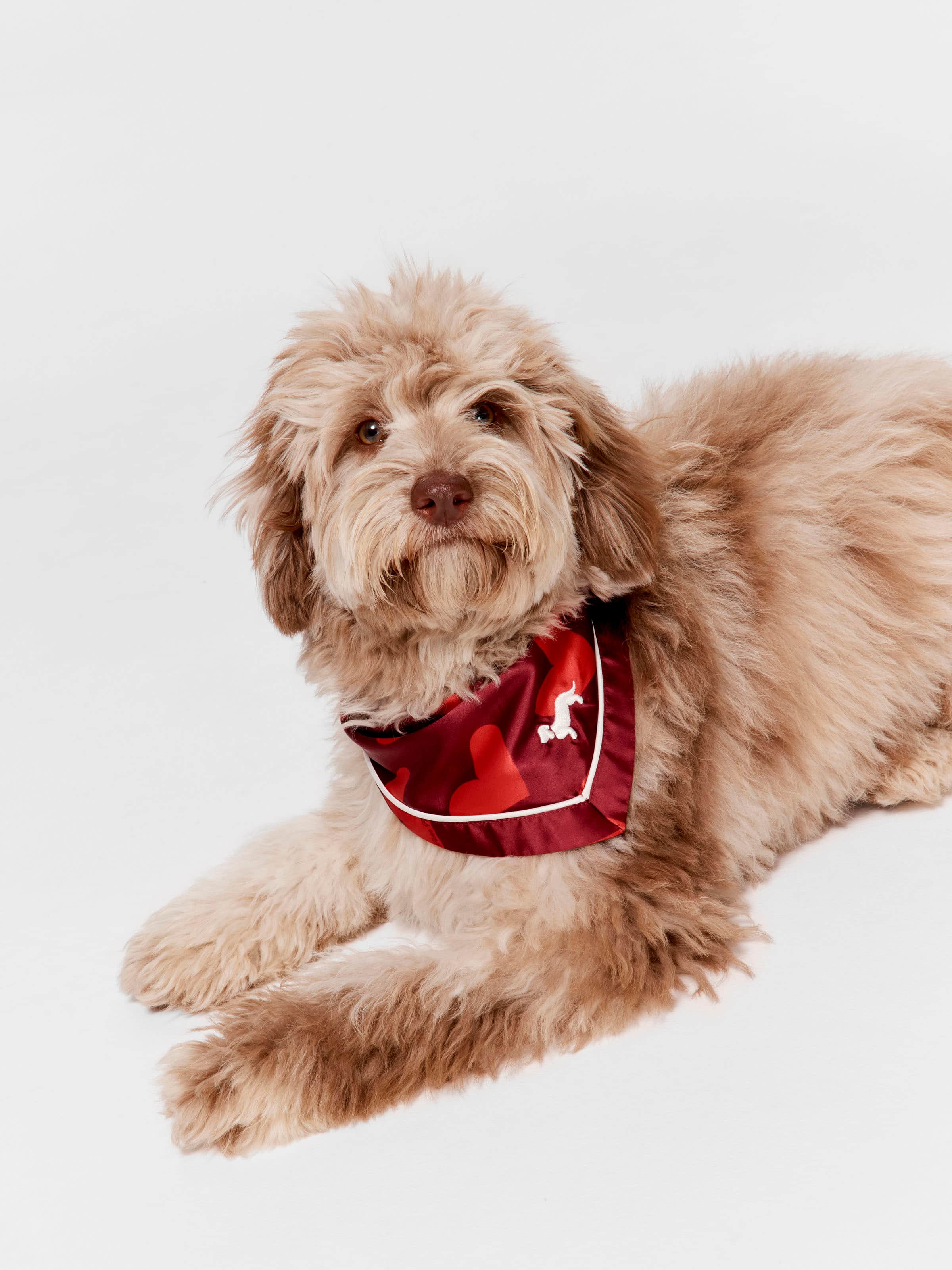 Satin Valentine Dog Bandana