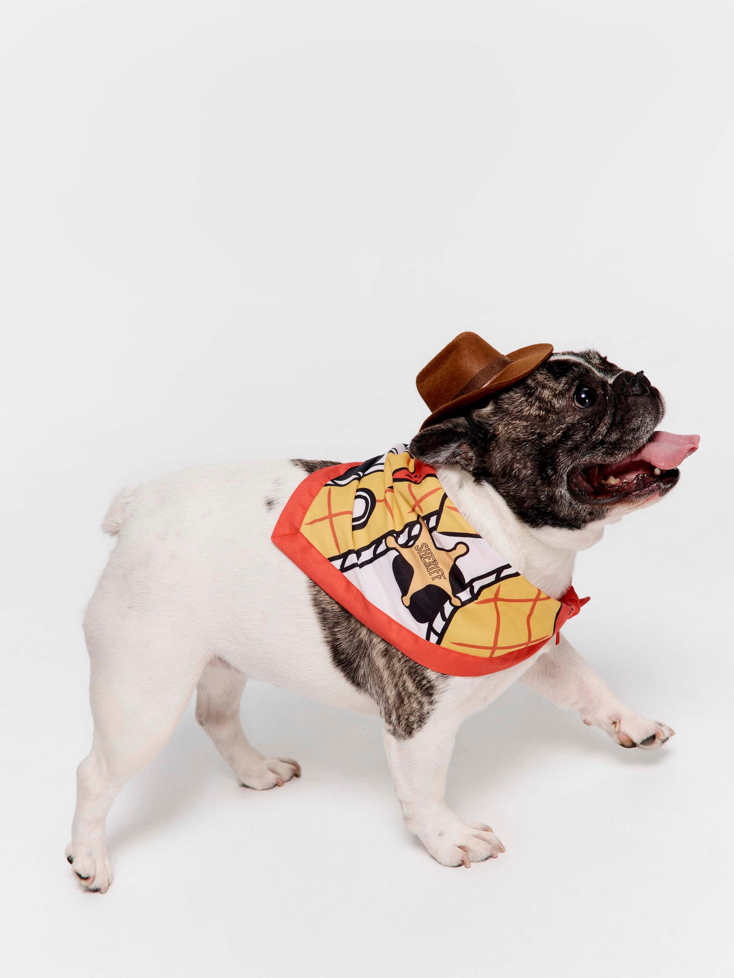 Toy Story Woody Pet Outfit