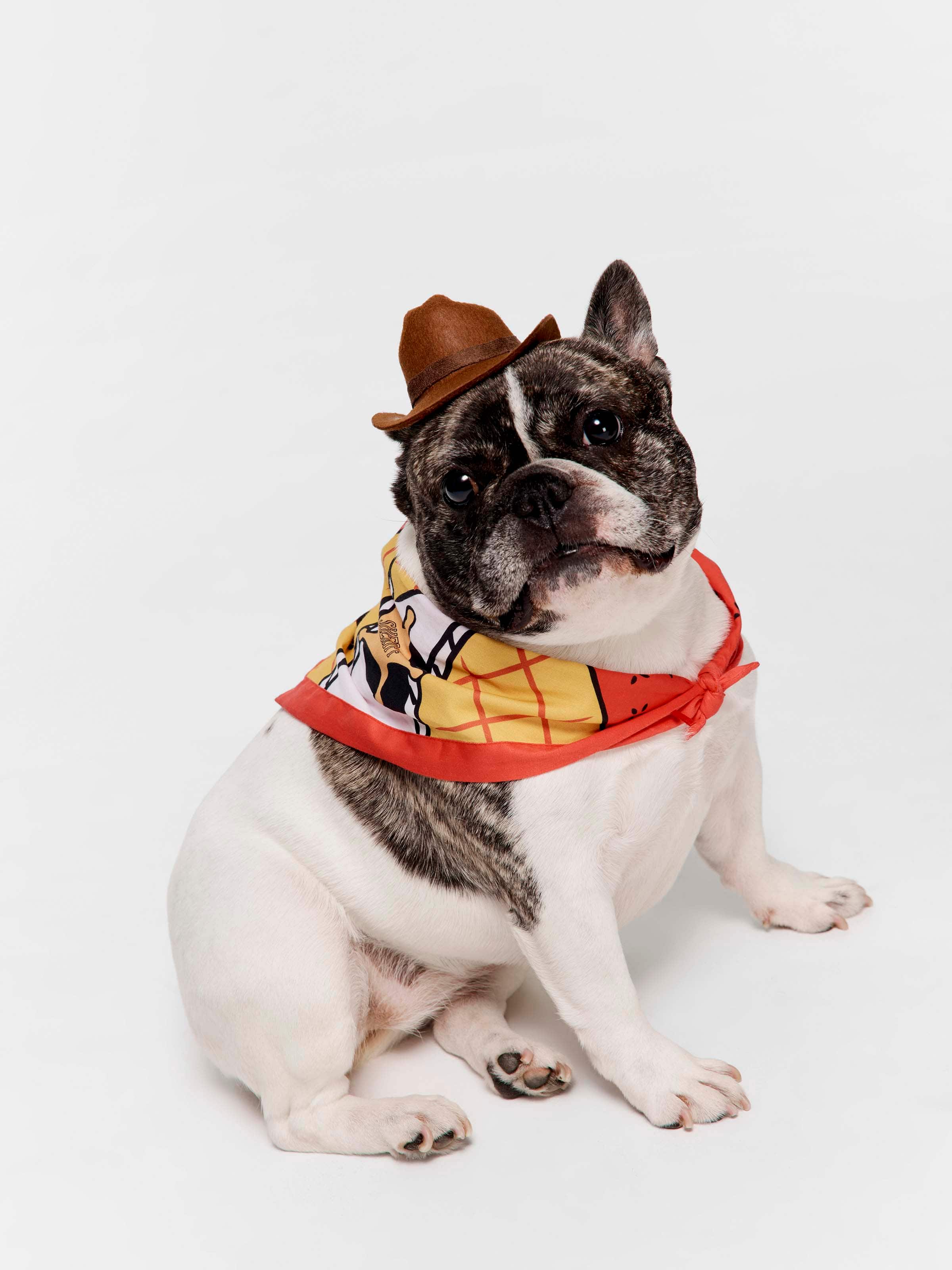 Toy Story Woody Pet Outfit